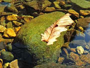 详细阅读:进贤县二手机械设备回收,助力现代产业转型 进贤县二手机械设备回收,助力现代产业转型